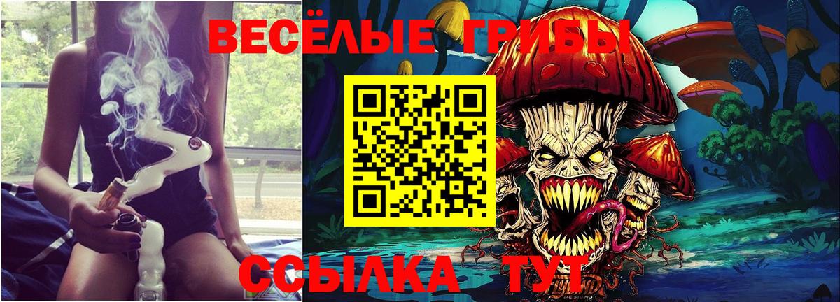 Галлюциногенные грибы GOLDEN TEACHER Котовск