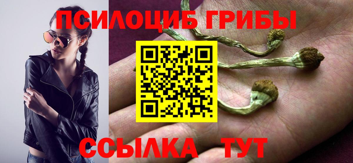 Псилоцибиновые грибы мухоморы  Вход с VPN  Котовск 
